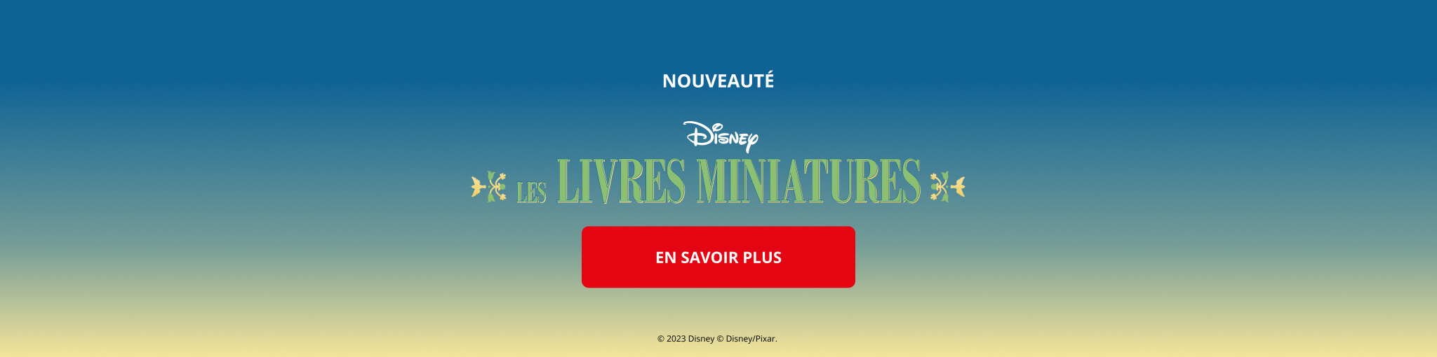 Disney - Les Livres Miniatures